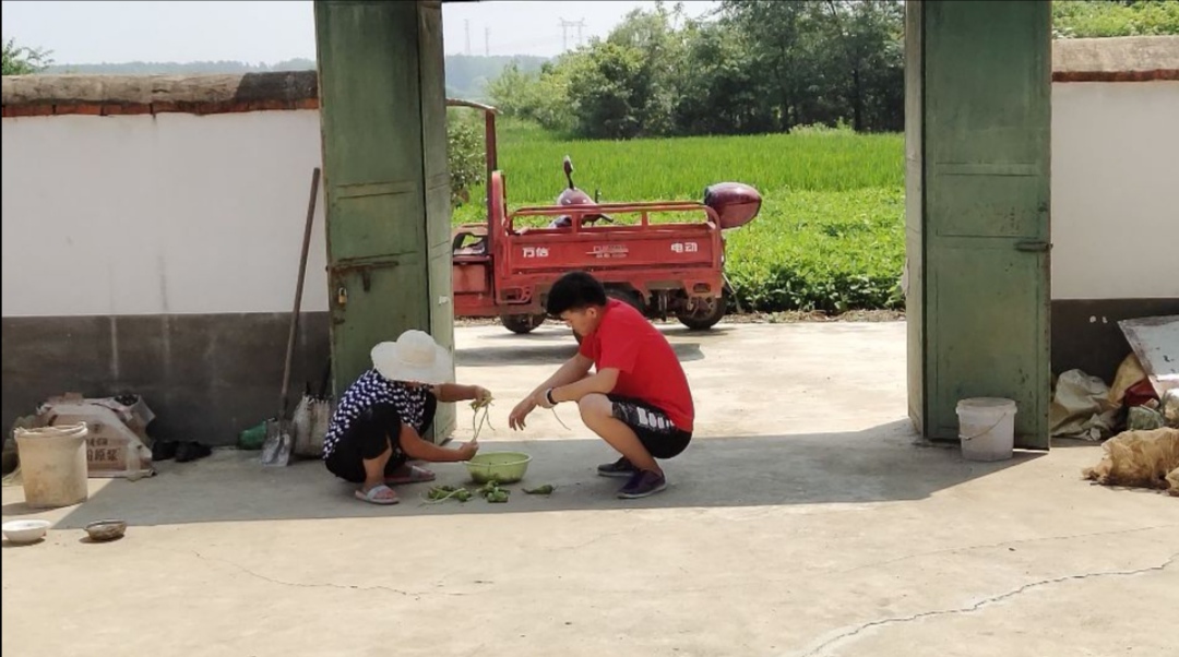 如图片无法显示，请刷新页面