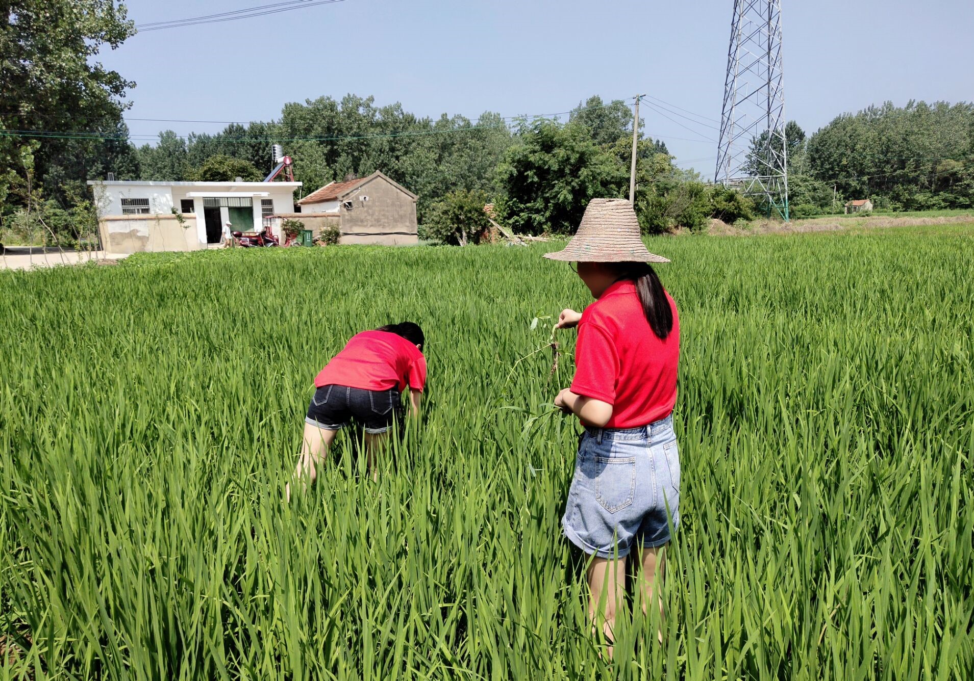如图片无法显示，请刷新页面