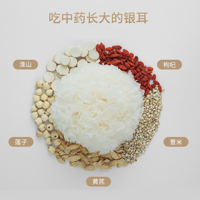 ������������ʮ������ҩ��Ϊ������