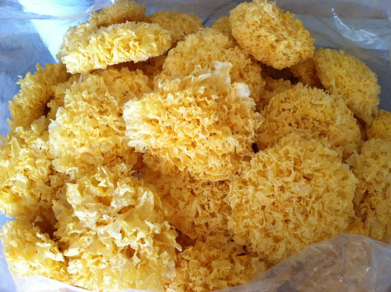 ����ͼ����ͨ����