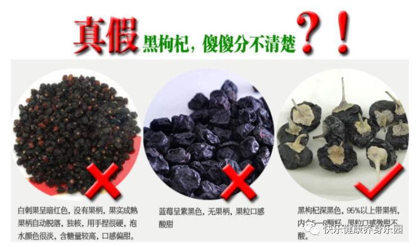 真假黑枸杞分不清?打开微信扫描二维码,让小檬来帮您!