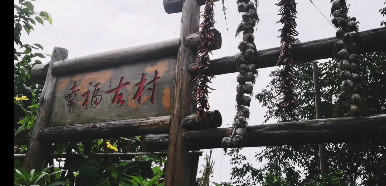 投身社会实践 建设美丽丹棱