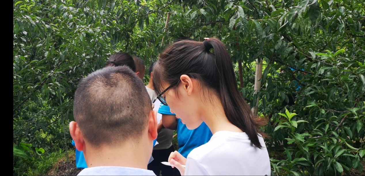 C:\Users\asus\AppData\Local\Microsoft\Windows\INetCache\Content.Word\Screenshot_20190724_115033_com.huawei.himovie.jpg