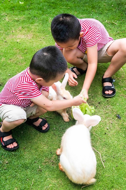 如图片无法显示，请刷新页面