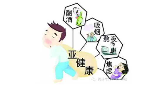 天山七彩王珠花带您走出身体的亚健康状态