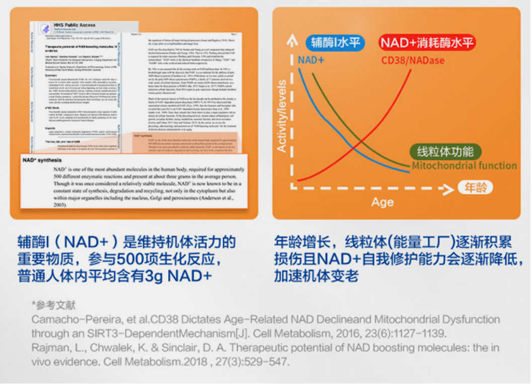 NMN产业: 纷享生活北维克产品正式通过美国FDA认证，领跑新赛道