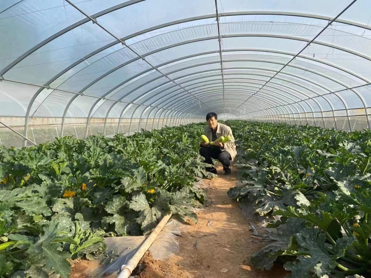 如图片无法显示，请刷新页面