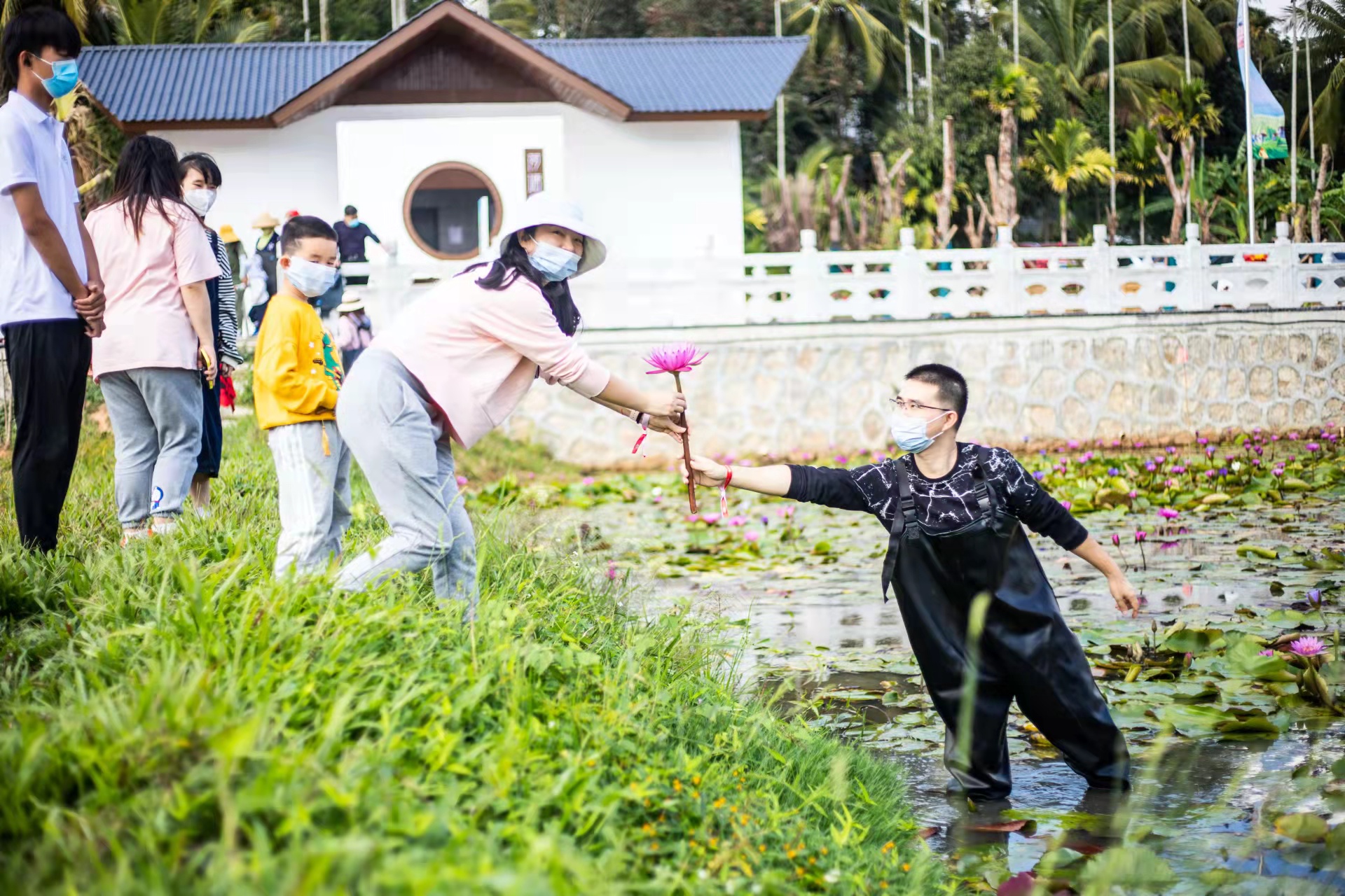 如图片无法显示,请刷新页面