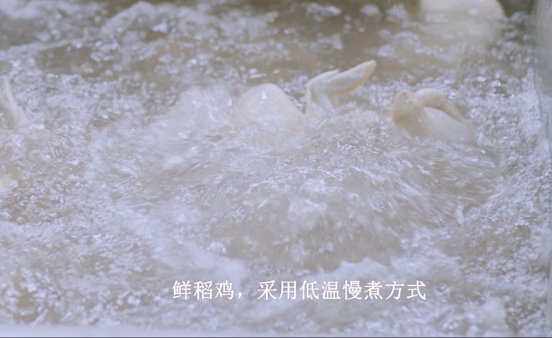 如图片无法显示，请刷新页面