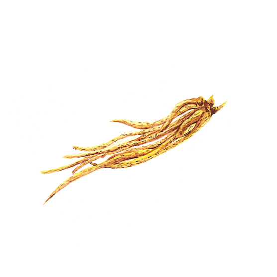 洛懿，用专业诠释护肤之本