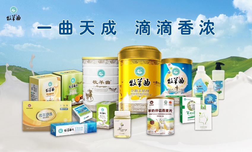1123产品组合图片