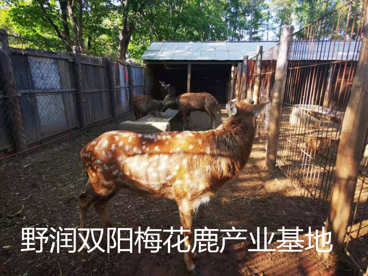 如图片无法显示，请刷新页面