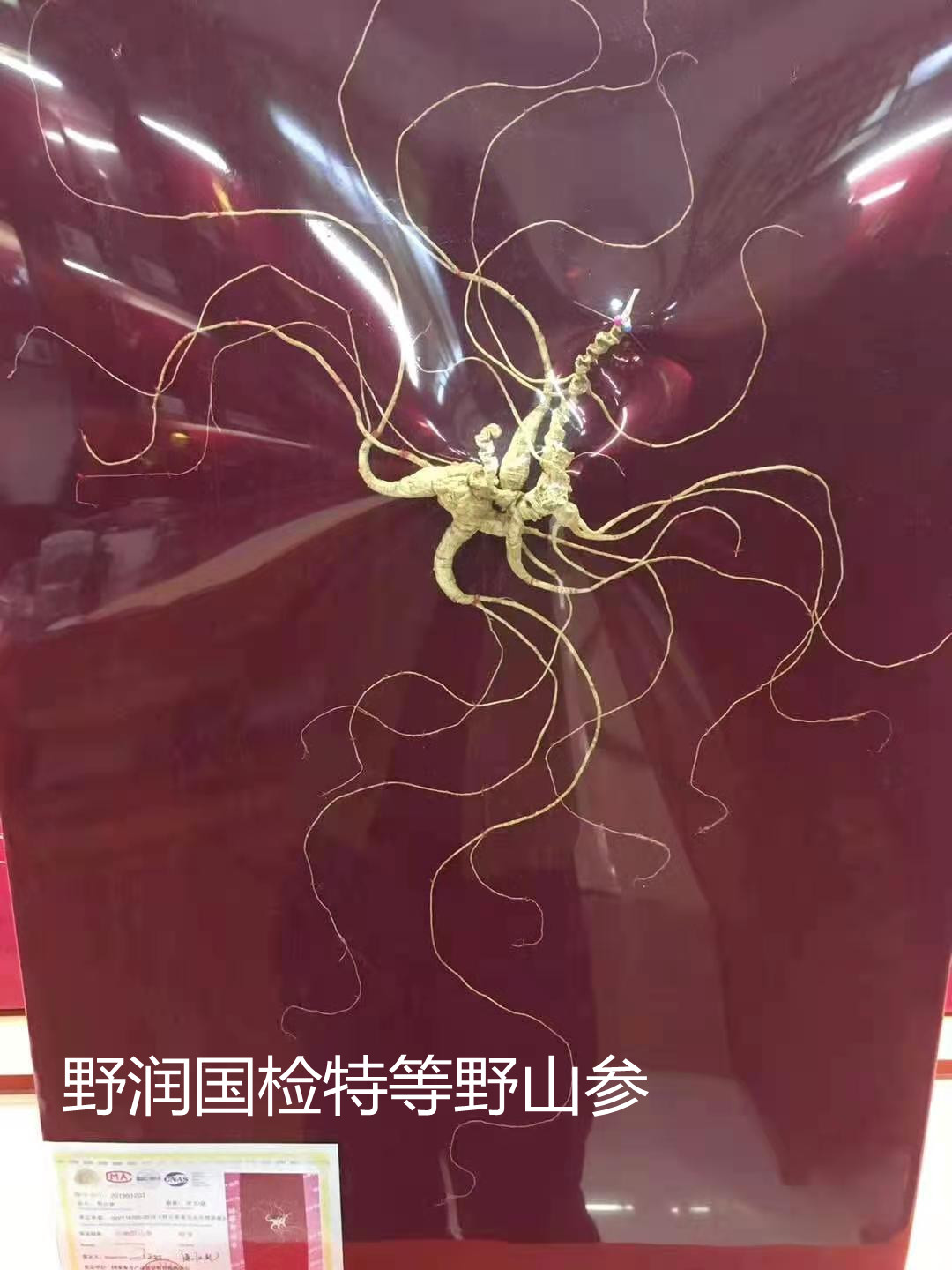 如图片无法显示，请刷新页面