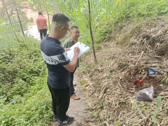 如图片无法显示,请刷新页面