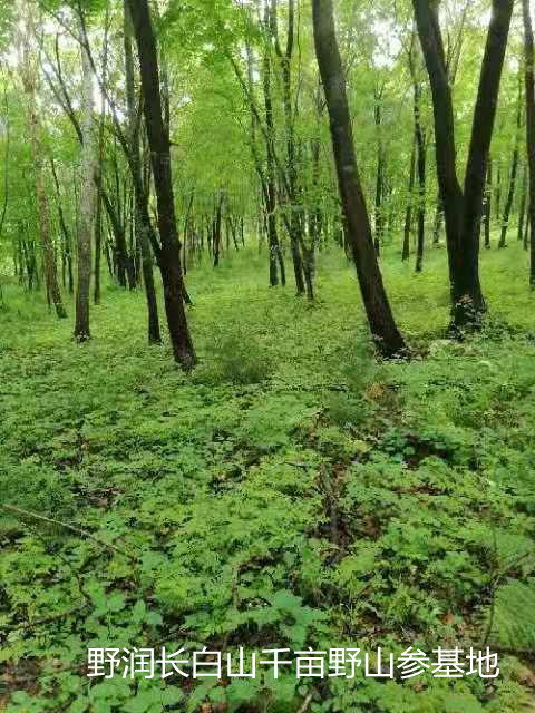 如图片无法显示，请刷新页面