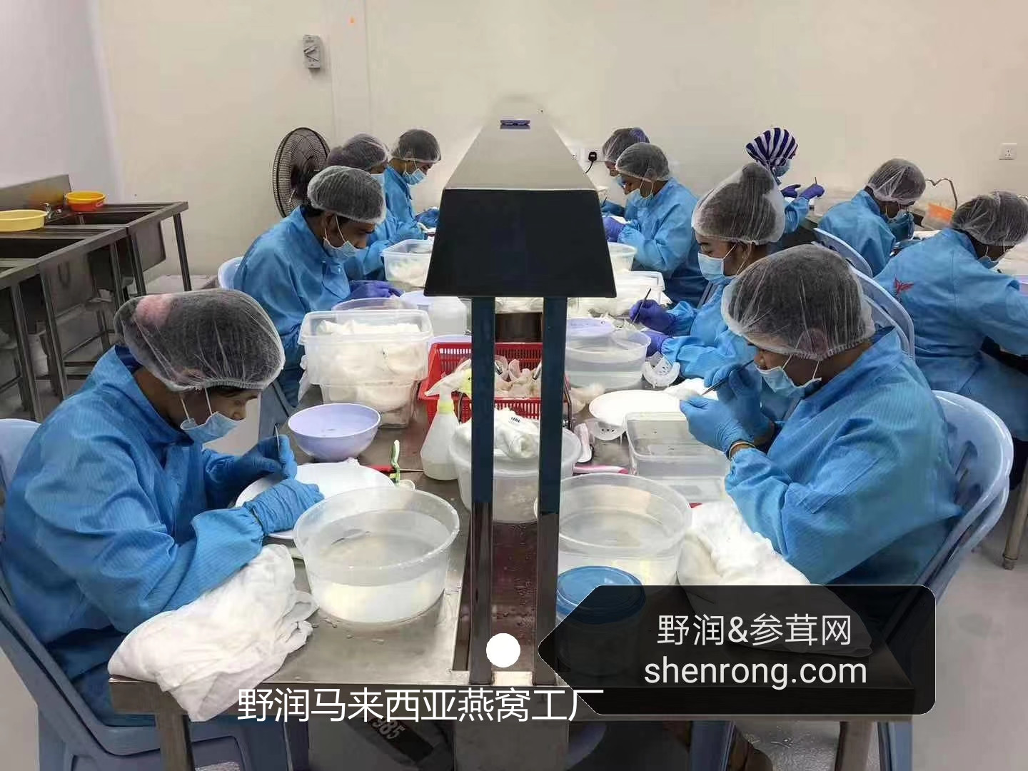 如图片无法显示，请刷新页面