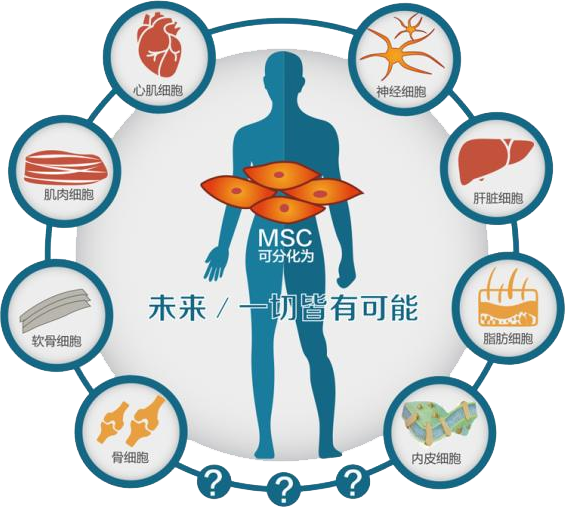 如图片无法显示，请刷新页面
