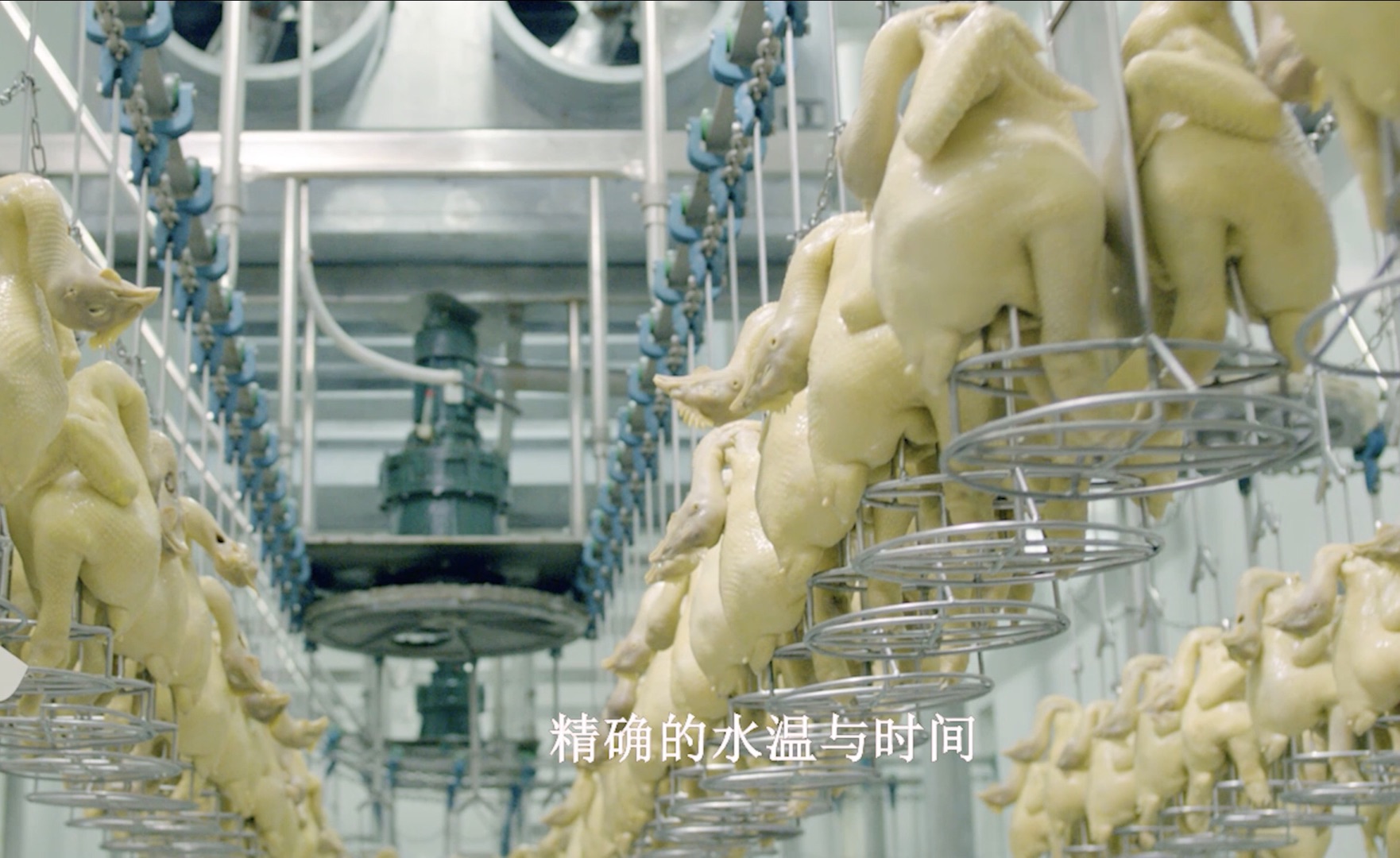 如图片无法显示，请刷新页面