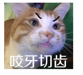 ͼƬ޷ʾˢҳ