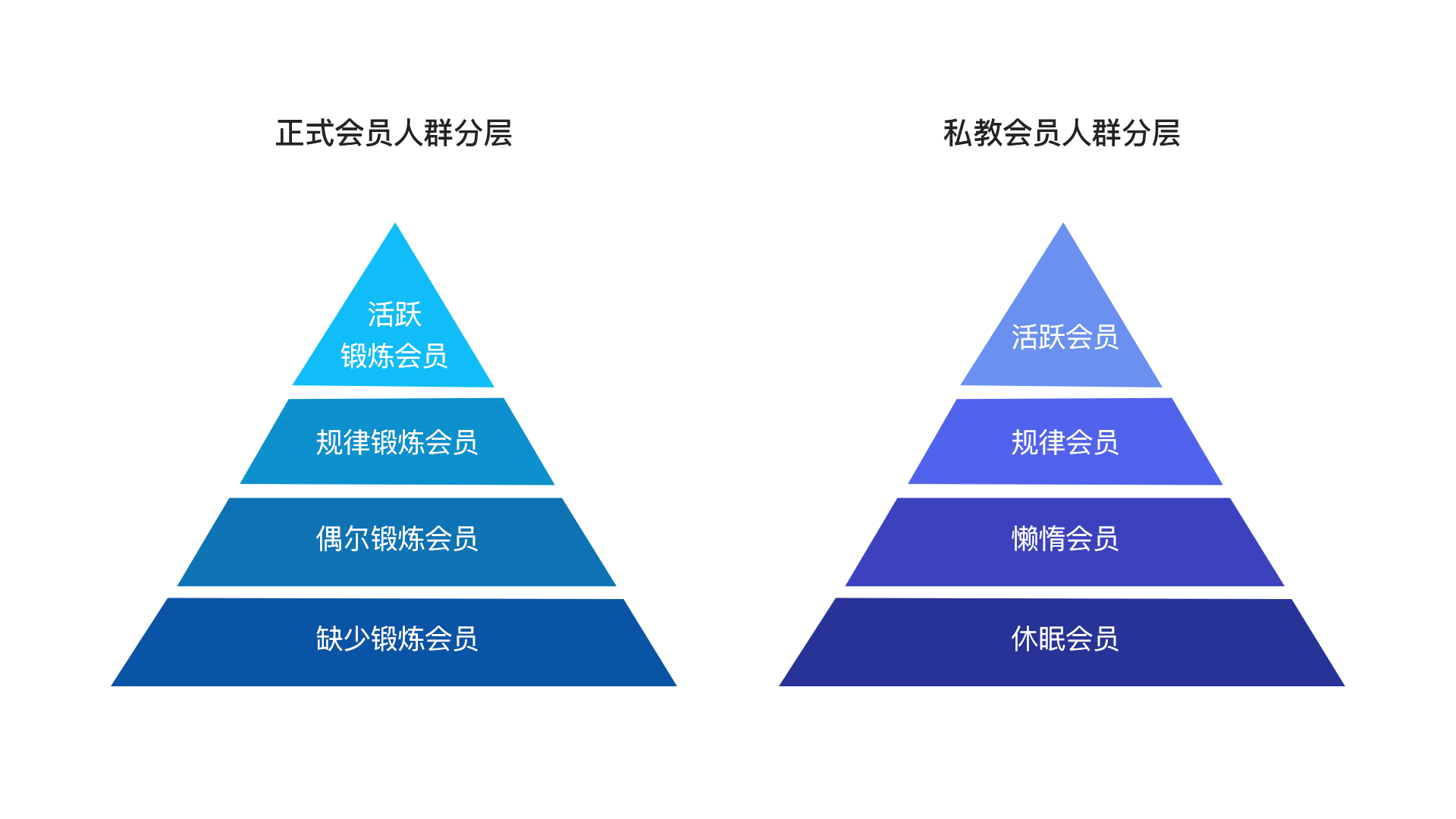 5-会员分层