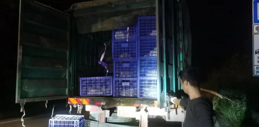 ffa5f8bb7c25938ca56813d92a97ba5