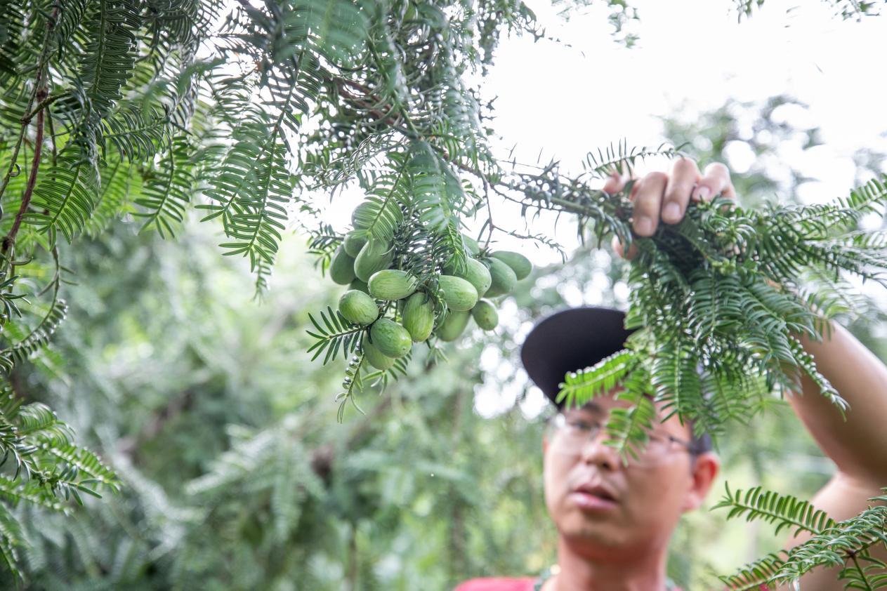 mmexport1688525840372