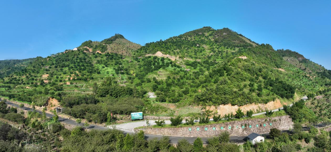 mmexport1688525850238