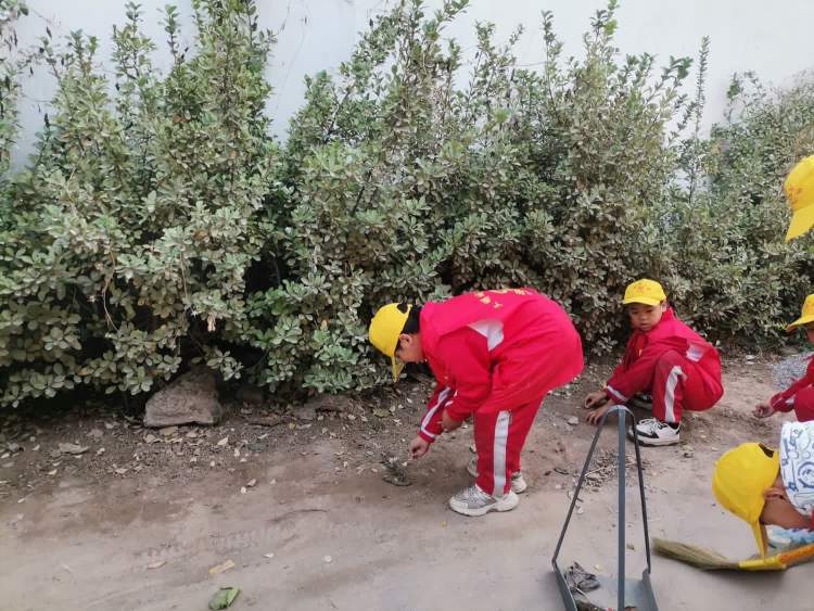 简篇-【“双争”活动进行时】	健康为本，卫生先行——丛台区七方小学卫生月活动纪实